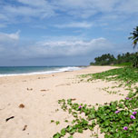 akce letenky Srí Lanka - Colombo