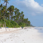 akce letenky Zanzibar - Tanzánie