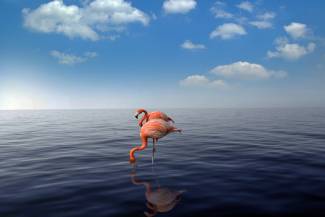 United Airlines ✈ Karibik - Tip na rezervaci zpáteční akční letenky na ostrov Aruba z Prahy 12 790 Kč