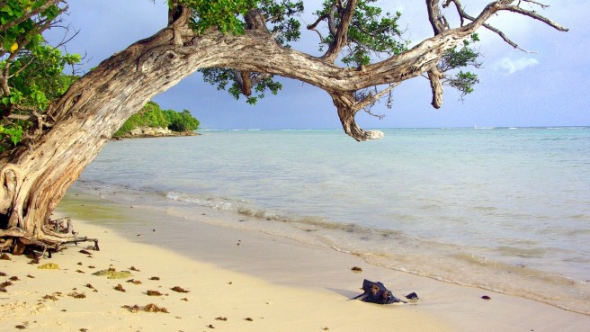 akce letenky Guadeloupe - Karibik z Prahy 13.290,- kč