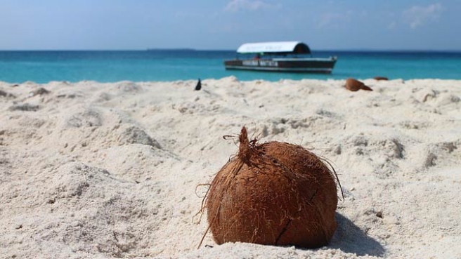 HIT! Turkish Airlines - Afrika - Tanzánie - levné letenky Zanzibar (zpáteční) 9.990,- kč