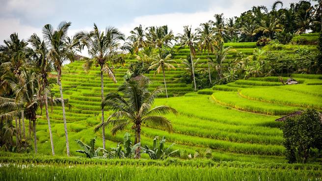 TIP! China Southern Airlines - Indonésie - Bali - levné letenky Denpasar Bali z Vídně 12.990,- kč