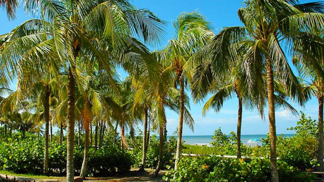 TIP! American Airlines - USA - Florida - levné letenky West Palm Beach (zpáteční) 7.390,- kč