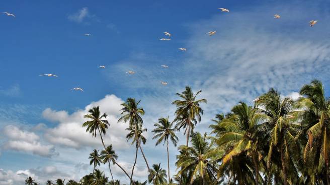 Stále v prodeji! Qatar Airways - Srí Lanka - levné letenky Colombo z Prahy (zpáteční) 13.990,- kč