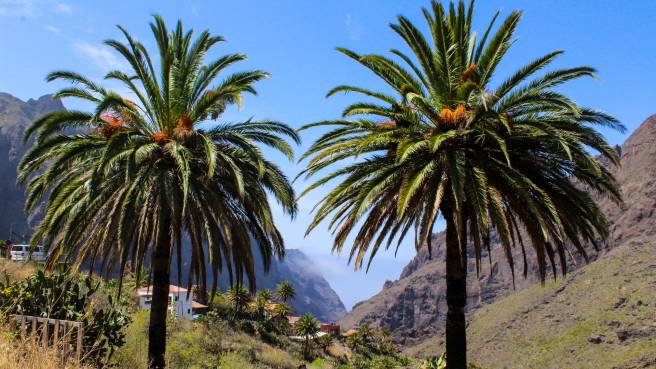 TIP! Kanárské ostrovy - levné letenky Tenerife - aktuální přehled již od 3.076,- kč