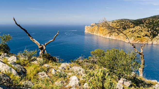 Doporučujeme! Austrian Airlines - Španělsko - Mallorca nejen na hlavní letní sezónu - levné letenky Palma de Mallorca z Vídně (tam a zpět) 1.690,- Kč