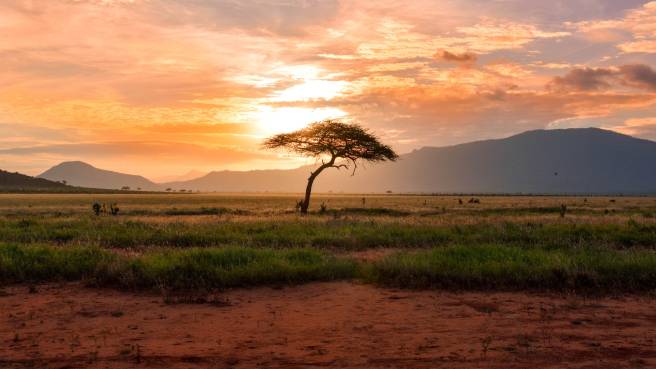 TIP! Turkish Airlines ✈ Afrika - Keňa - levné letenky Nairobi z Budapešti s 4* aerolinkou ↔ 9.890 Kč