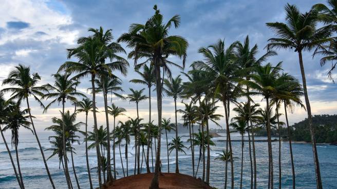 Platí jen dnes! Etihad Airways ✈ Srí Lanka - akční letenky Colombo z Mnichova s 4* aerolinkou 12.790 Kč