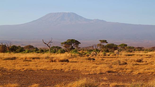 Doporučujeme! Qatar Airways ✈ Tanzánie - akční letenky Kilimandžáro z Vídně ↔ 12.990 Kč