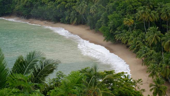 Výprodej! Condor ✈ Karibik - Trinidad & Tobago - přímé akční letenky na ostrov Tobago z Frankfurtu ↔ 12.790 Kč