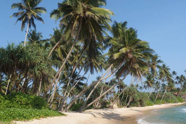akce letenky Srí Lanka - Colombo z Prahy 11.390,- kč