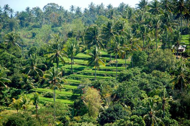 akce letenky Denpasar Bali - Bali - Indonésie z Prahy