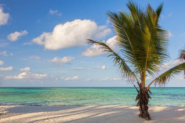 akce letenky Zanzibar - Tanzánie z Milána
