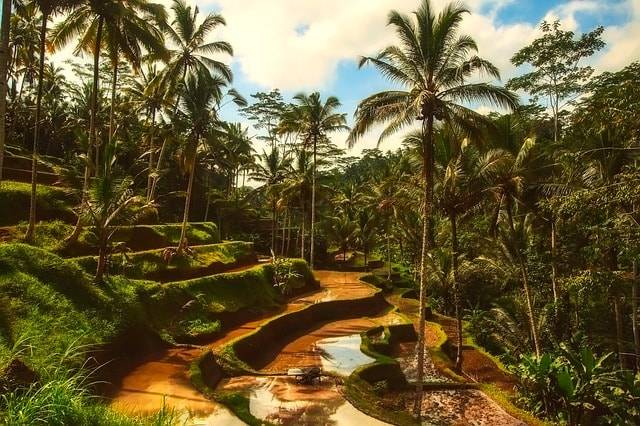 TIP! China Eastern - Indonésie - Bali - levné letenky Denpasar Bali z Prahy 12.990,- kč