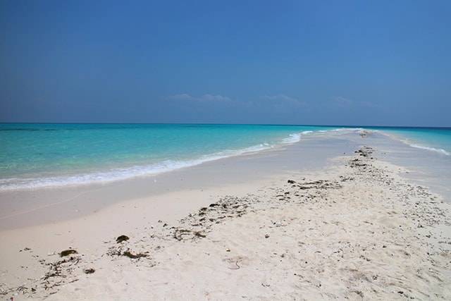 TIP! Turkish Airlines - Tanzánie - levné letenky Zanzibar z Vídně 11.890,- kč