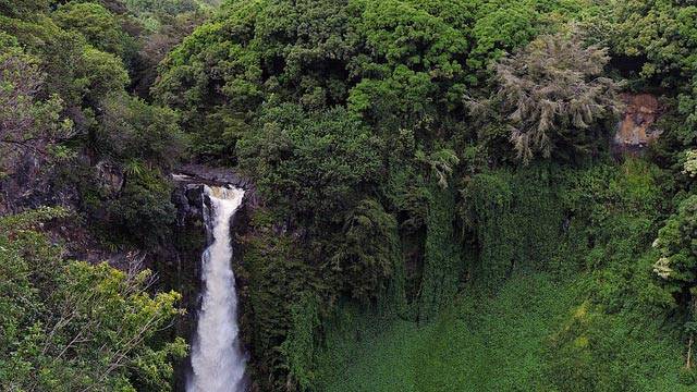 TIP! American Airlines - USA - Havajské ostrovy - levné letenky Maui a Honolulu z Vídně 16.990,- kč