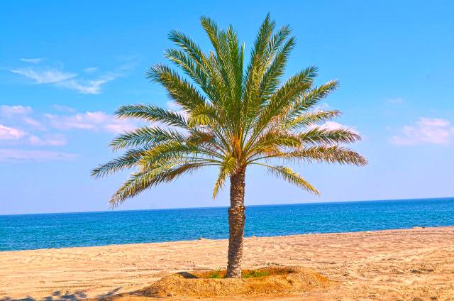 Sleva! Wizz Air - Spojené Arabské Emiráty - levné letenky Dubaj (zpáteční) od 3.836,- kč
