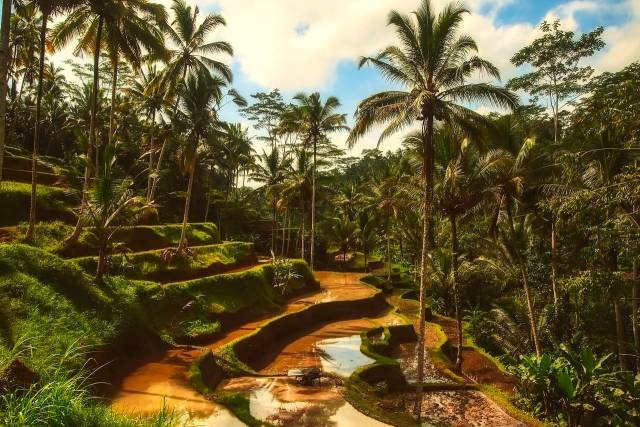 TIP! Qatar Aiways - Indonésie - Bali - levné letenky Denpasar Bali z Prahy a zpět do Vídně 14.790,- kč