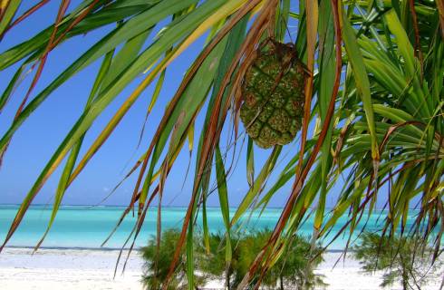 Sleva! Qatar Airways - Tanzánie - levné letenky Zanzibar z Vídně (a zpět) 13.790,- kč