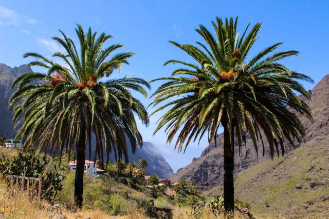 TIP! Kanárské ostrovy - levné letenky Tenerife - aktuální přehled již od 3.076,- kč