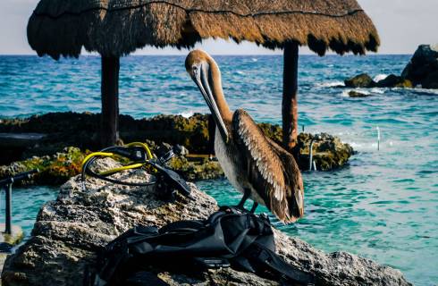 Sleva! Air France / Delta Airlines - Karibik - Mexiko - levné letenky Cancun z Vídně (a zpět) 9.990,- Kč