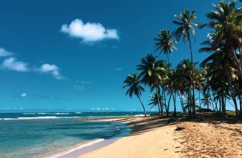 TIP! Air France - Dominikánská Republika - 4 verze levné letenky do Punta Cana z Vídně, Mnichova, Berlína a Prahy (a zpět) od 12.790,- Kč