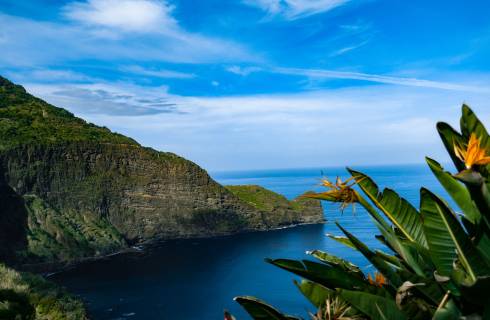 TIP! TAP Air Portugal - Portugalsko - Madeira - levné letenky Funchal z Prahy a Vídně (a zpět) 3.490,- Kč