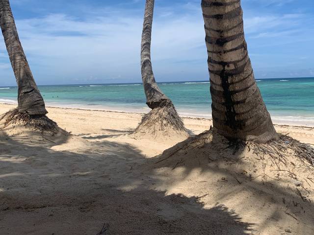 Doporučujeme! Air Europa - Karibik - Dominikánská republika - levné letenky Punta Cana z Mnichova (tam a zpět) 11.690,- kč
