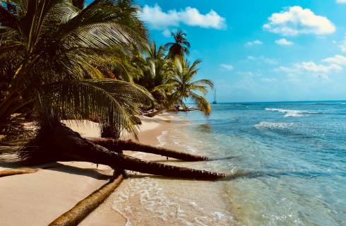 Doporučujeme! Air Canada - Karibik - Turks and Caicos Islands - levné letenky Providenciales z Mnichova 10.790,- Kč