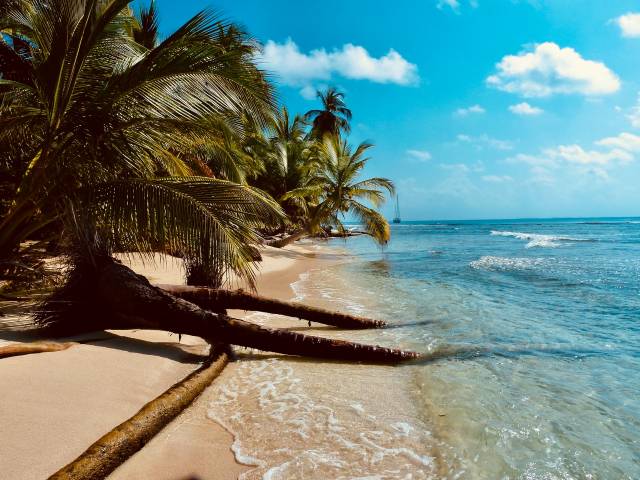 Doporučujeme! Air Canada - Karibik - Turks and Caicos Islands - levné letenky Providenciales z Mnichova 10.790,- Kč