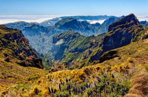 Doporučujeme! Tap Portugal - Portugalsko - ostrov Madeira z Česka - levné letenky Funchal z Prahy (tam a zpět) 3.490,- Kč