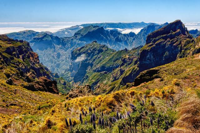 Doporučujeme! Tap Portugal - Portugalsko - ostrov Madeira z Česka - levné letenky Funchal z Prahy (tam a zpět) 3.490,- Kč