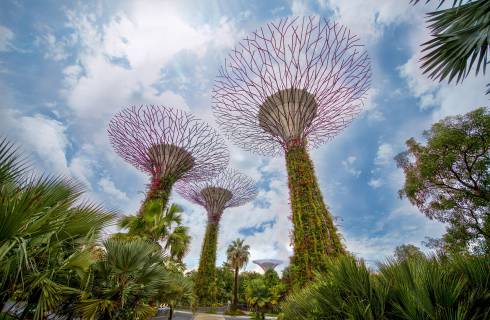 8 tipů na rezervaci obousměrné levné letenky do Singapuru z Vídně a Prahy od 12 990 Kč