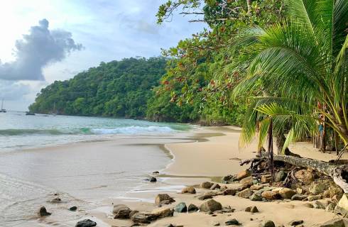 Condor ✈ Trinidad & Tobago - Tip na rezervaci obousměrné akční letenky na ostrov Tobago z Vídně 11 990 Kč