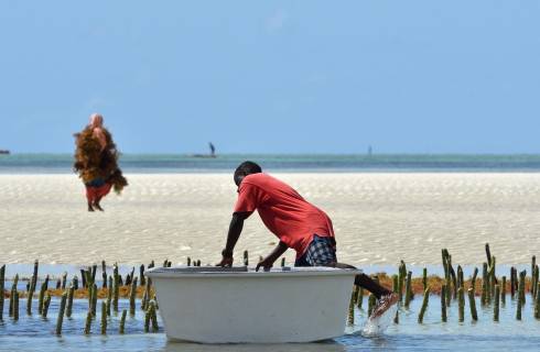Swiss ✈ Tanzánie - Tip na rezervaci obousměrné akční letenky na Zanzibar z Vídně 15 290 Kč