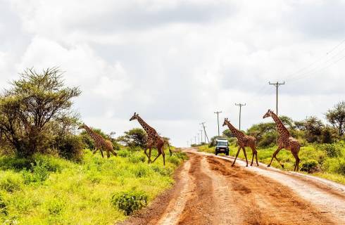 Etihad Airways ✈ Keňa - Tip na rezervaci obousměrné akční letenky do Nairobi z Vídně 12 690 Kč