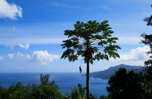Condor ✈ Seychely - Tip na rezervaci obousměrné akční letenky na Mahe Island z Prahy 13 690 Kč
