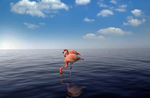 United Airlines ✈ Karibik - Tip na rezervaci zpáteční akční letenky na ostrov Aruba z Prahy 12 790 Kč