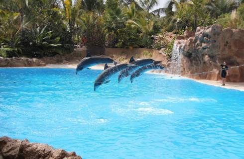 Swiss ✈ Kanárské ostrovy - Tip na rezervaci zpáteční akční letenky na Tenerife z Prahy 3 590 Kč