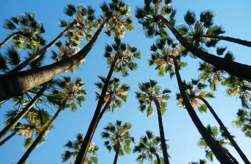 Ryanair ✈ Španělsko - Andalusie - Tip na rezervaci obousměrné levné letenky Malaga z Pardubic od 1 082 Kč