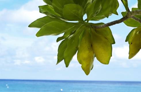 China Eastern Airlines ✈ Thajsko - Tip na rezervaci zpáteční akční letenky na Phuket z Budapešti 12 990 Kč