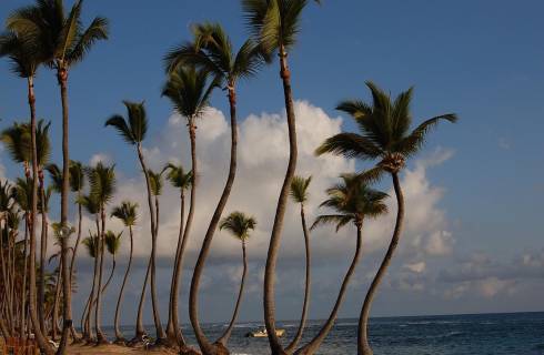 Air Canada ✈ Dominikána - Tip na rezervaci zpáteční akční letenky do Punta Cana z Vídně 15 490 Kč
