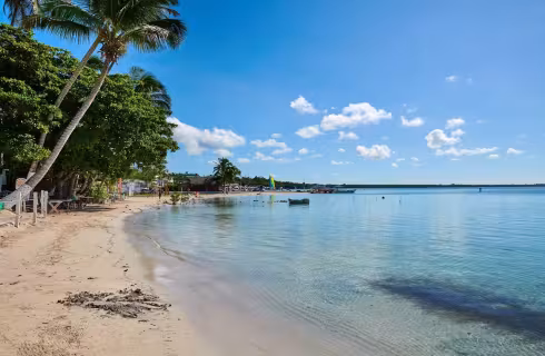 Austrian Airlines ✈ Dominikána - Tip na rezervaci zpáteční akční letenky do Puerto Plata z Prahy 13 490 Kč