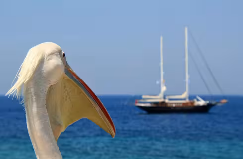 Wizz Air ✈ Řecko - Tip na rezervaci obousměrné levné letenky na Mykonos z Bratislavy od 1 681 Kč