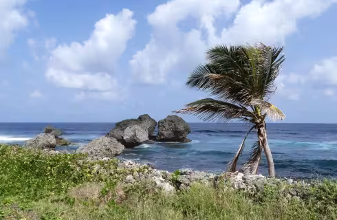Grenada, ostrov koření v Karibiku ✈ Zpáteční akční letenky z Prahy za 14 990 Kč, American