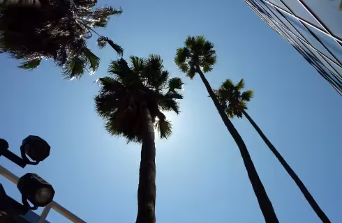 Americký Los Angeles a Hollywood ✈ Zpáteční akční letenky z Vídně za 12 990 Kč s Finnair