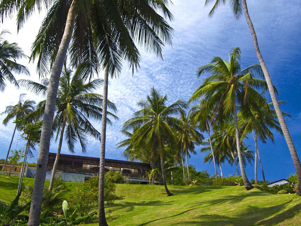 akce letenky Koh Samui - Thajsko z Prahy