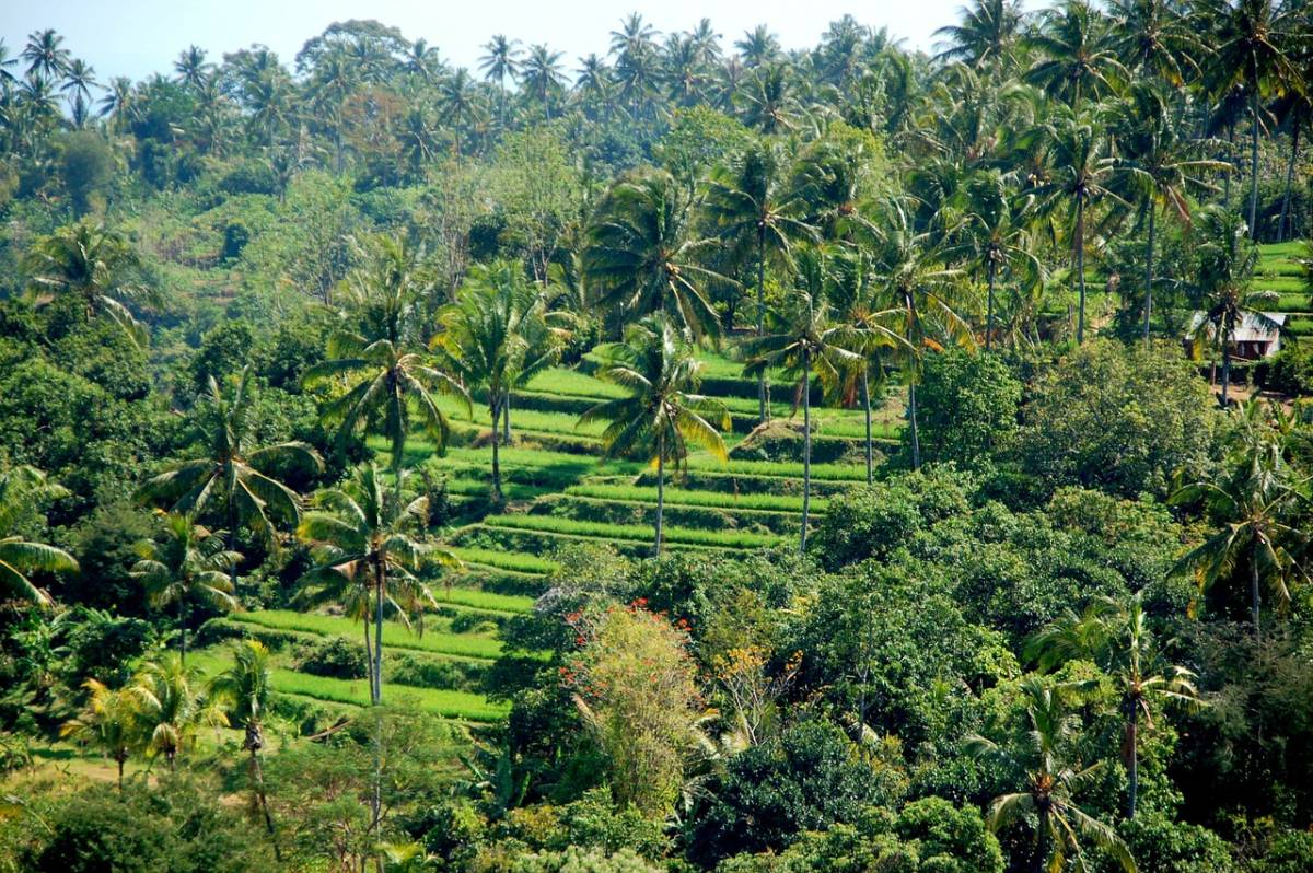 akce letenky Denpasar Bali - Bali - Indonésie z Prahy