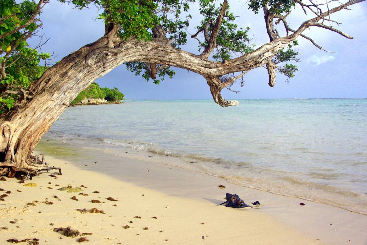 akce letenky Guadeloupe - Karibik z Prahy 13.290,- kč