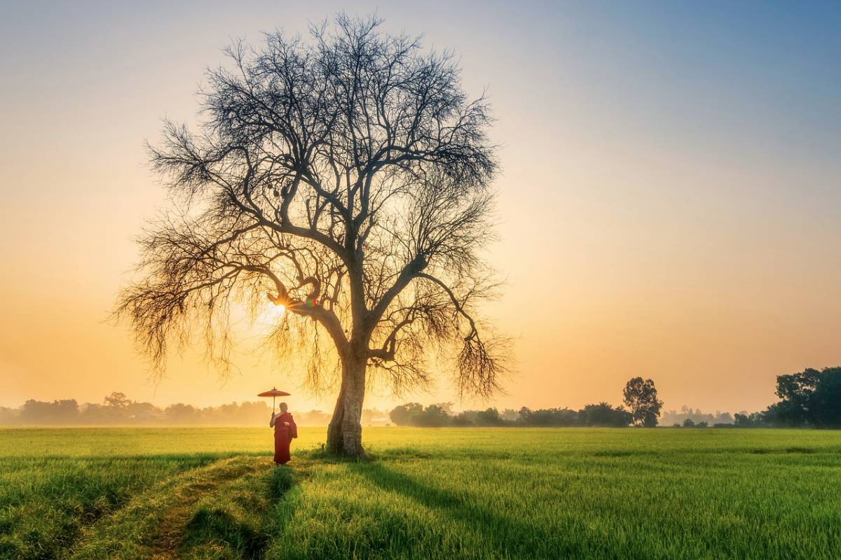 PŘEDPRODEJ! Turkish Airlines - Vietnam - levné letenky Ho Či Minovo Město z Vídně (a zpět) 11.990,- kč